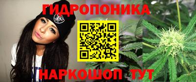 прущая мука Кингисепп