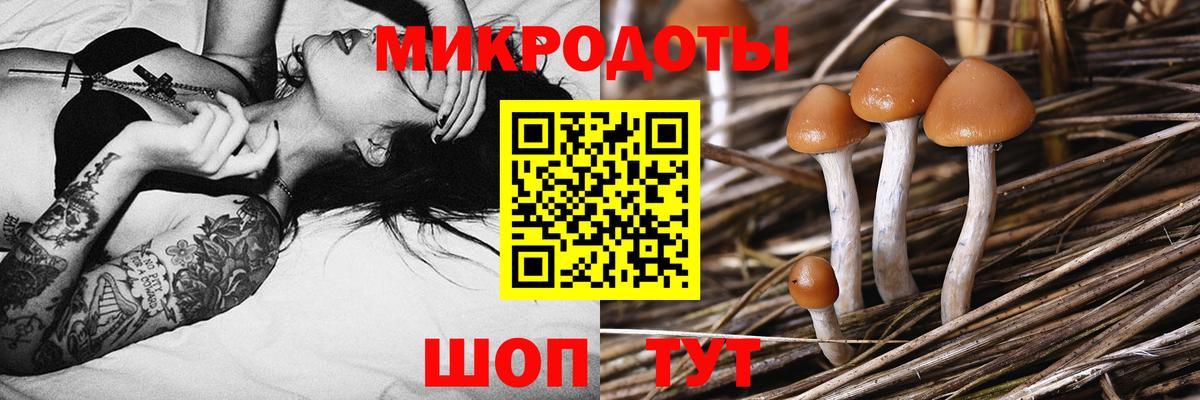 Галлюциногенные грибы Magic Shrooms  Вход с VPN  Псилоцибиновые грибы прущие грибы  Усть-Джегута 
