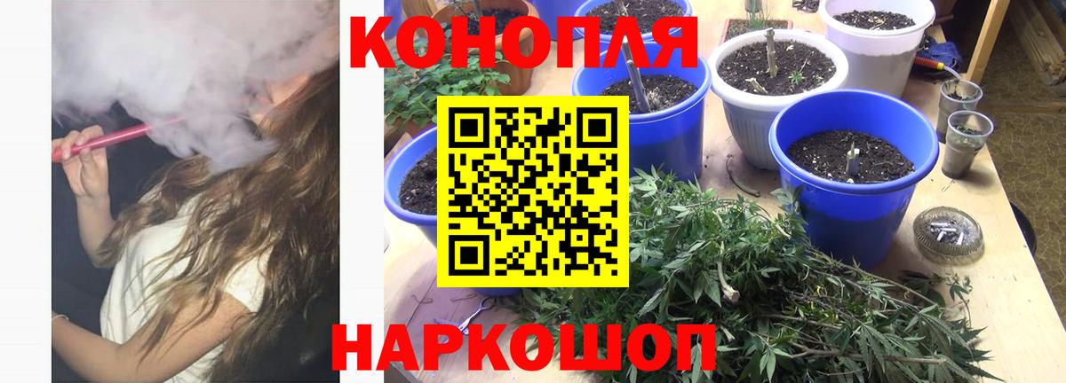 Канабис планчик Усть-Джегута
